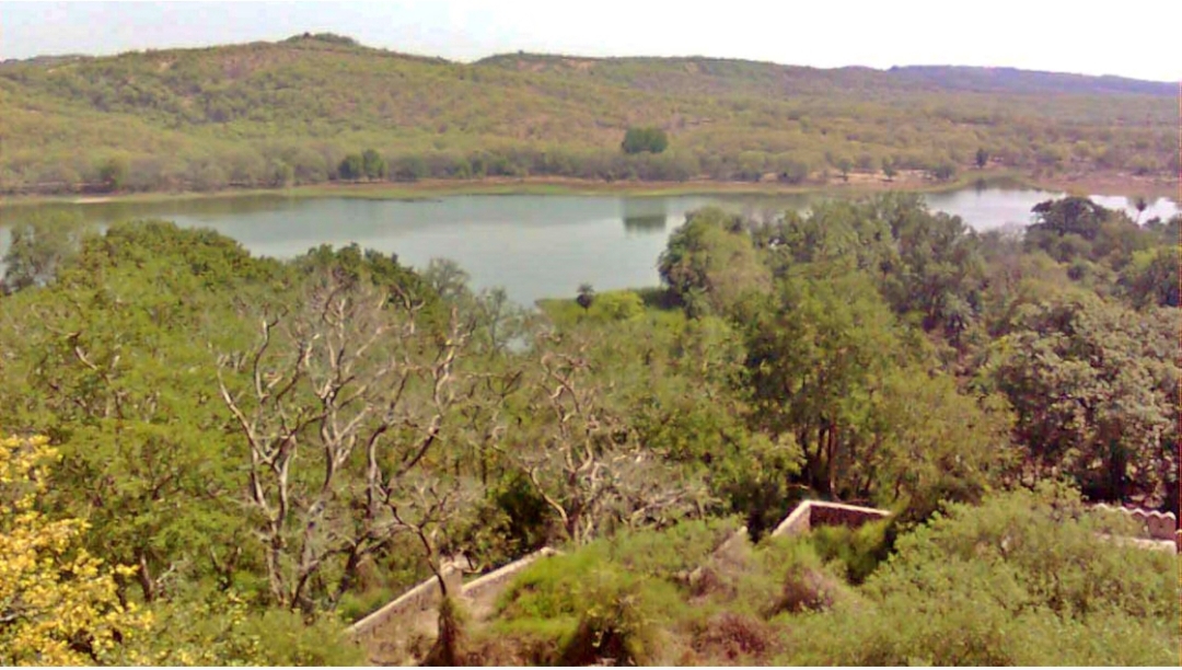 राजस्थान अरावली विवाद क्या है; आखिर क्या है 100 मीटर का सच, जनमत एक्सप्रेस की रिपोर्ट में पढ़िए