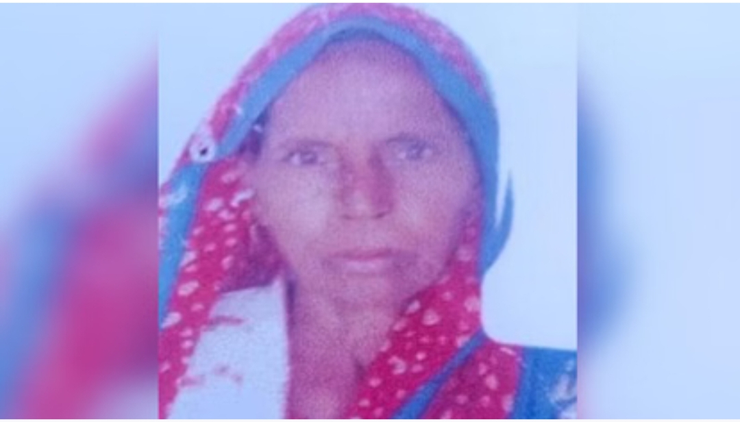 बदायूं में भैंस के हमले से वृद्धा की मौत, चारा डालते समय हुई घटना