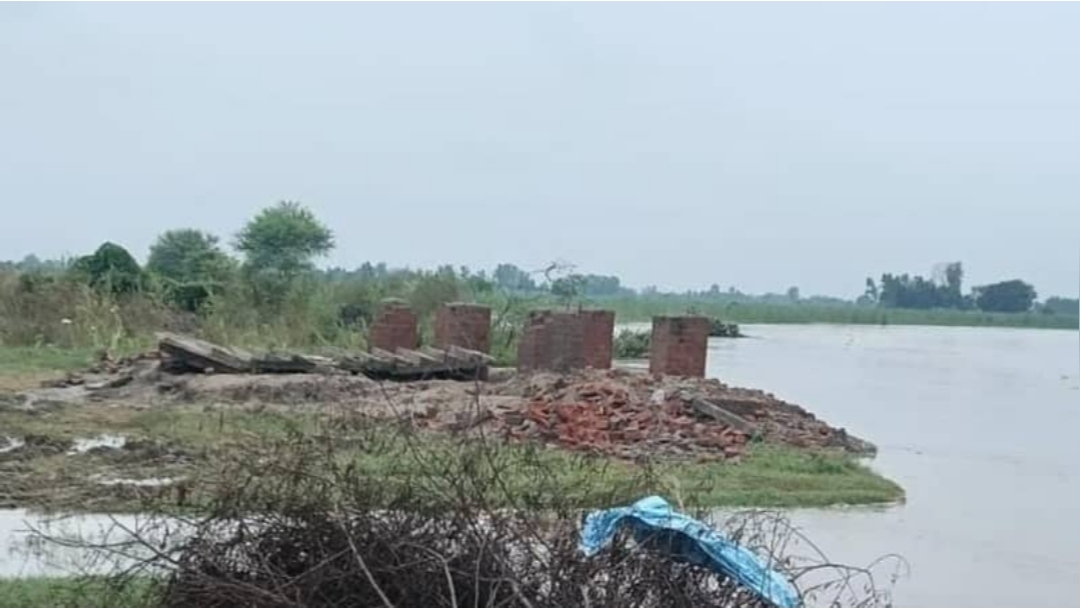 उसहैत के कदमनगला में कटान का कहर, मेंथा प्लांट का भंडार गृह गंगा में समाया