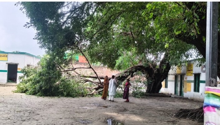 बदायूं में संविलयन विद्यालय में पेड़ की डाल टूटकर गिरी, प्रधानाध्यापक और छात्रा गंभीर रूप से घायल
